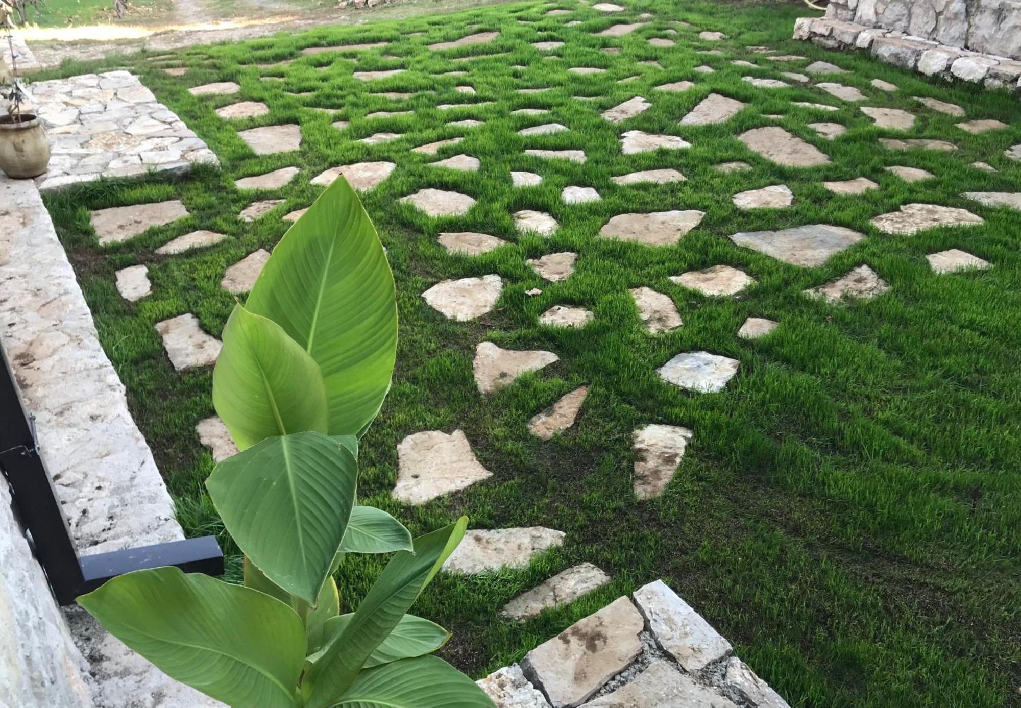 Green Silence - Vuk Podgorica Luaran gambar