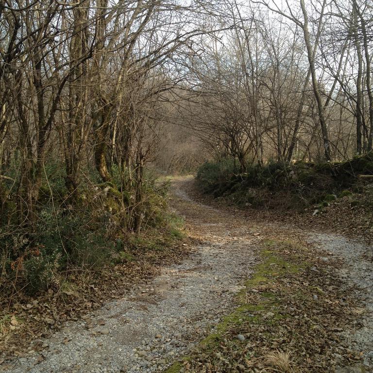 Green Silence - Vuk Podgorica Luaran gambar