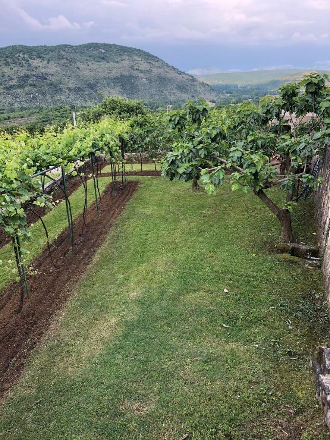 Green Silence - Vuk Podgorica Luaran gambar