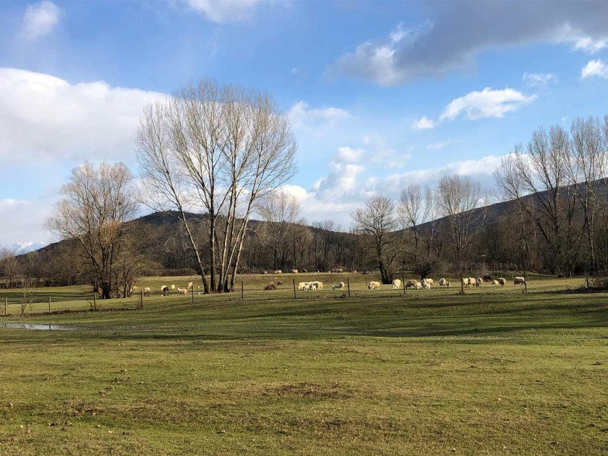 Green Silence - Vuk Podgorica Luaran gambar