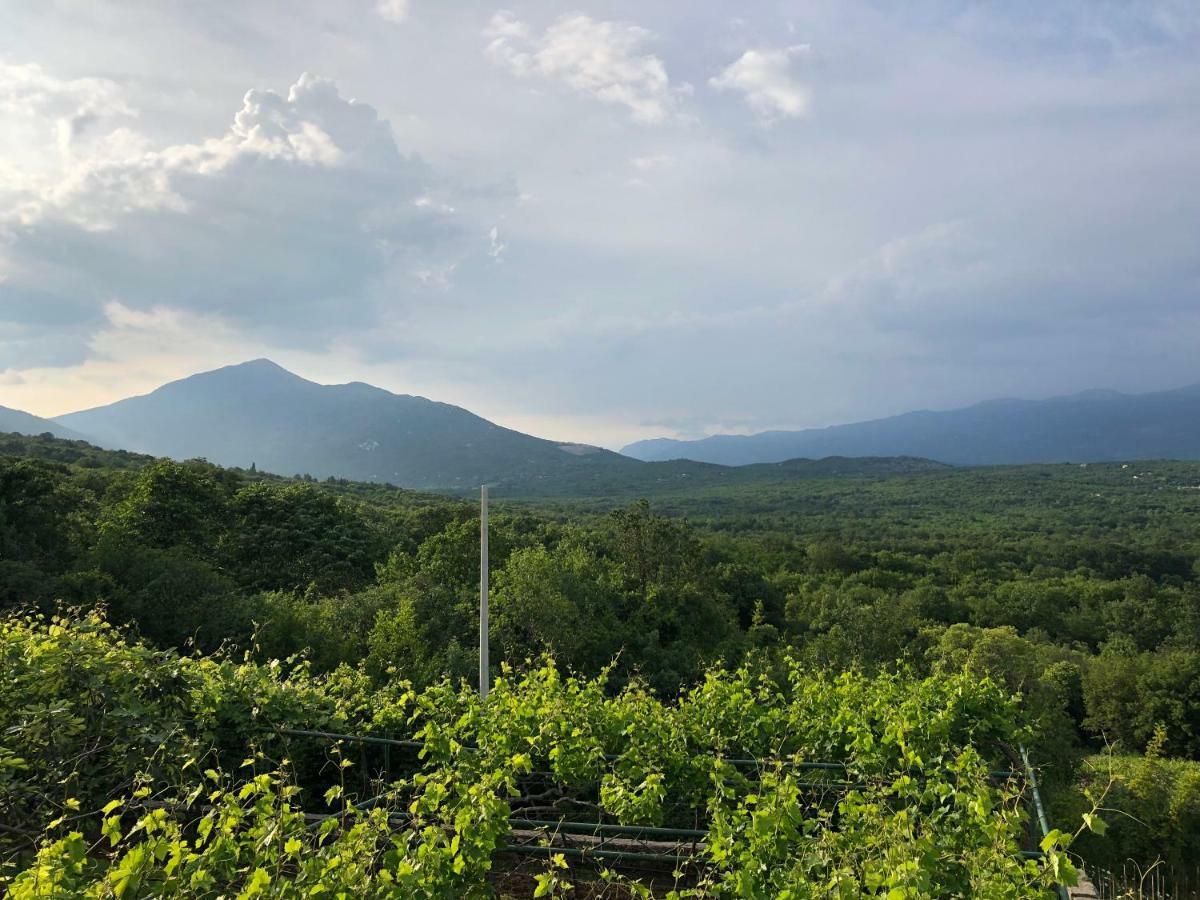 Green Silence - Vuk Podgorica Luaran gambar